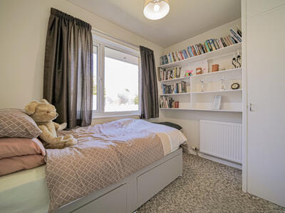 Picture 13